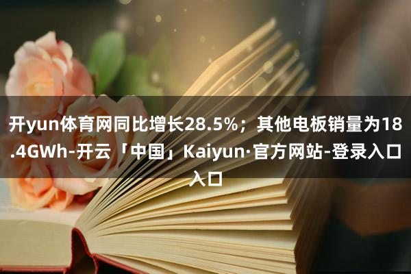 开yun体育网同比增长28.5%；其他电板销量为18.4GWh-开云「中国」Kaiyun·官方网站-登录入口