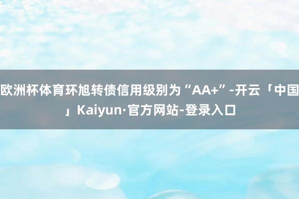 欧洲杯体育环旭转债信用级别为“AA+”-开云「中国」Kaiyun·官方网站-登录入口