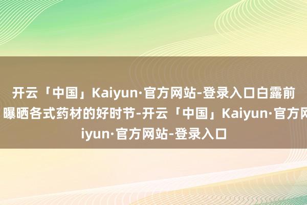 开云「中国」Kaiyun·官方网站-登录入口白露前后还是采摘、曝晒各式药材的好时节-开云「中国」Kaiyun·官方网站-登录入口